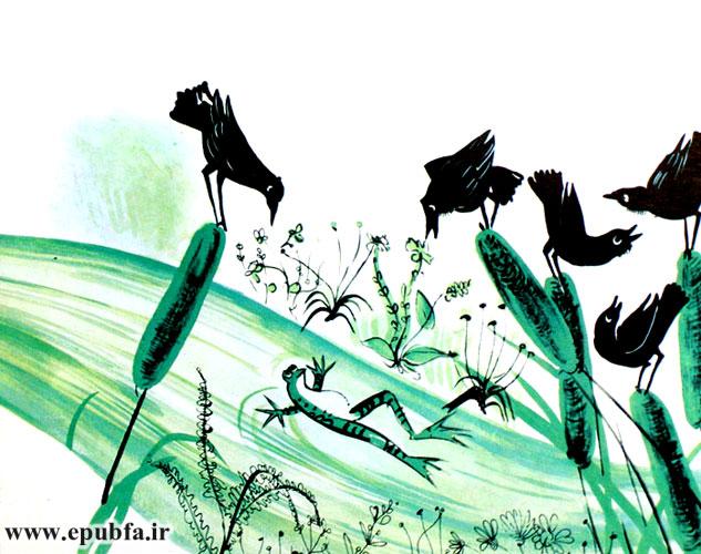 دهها طُرقه روی ساقههای بلند نی تاب میخوردند